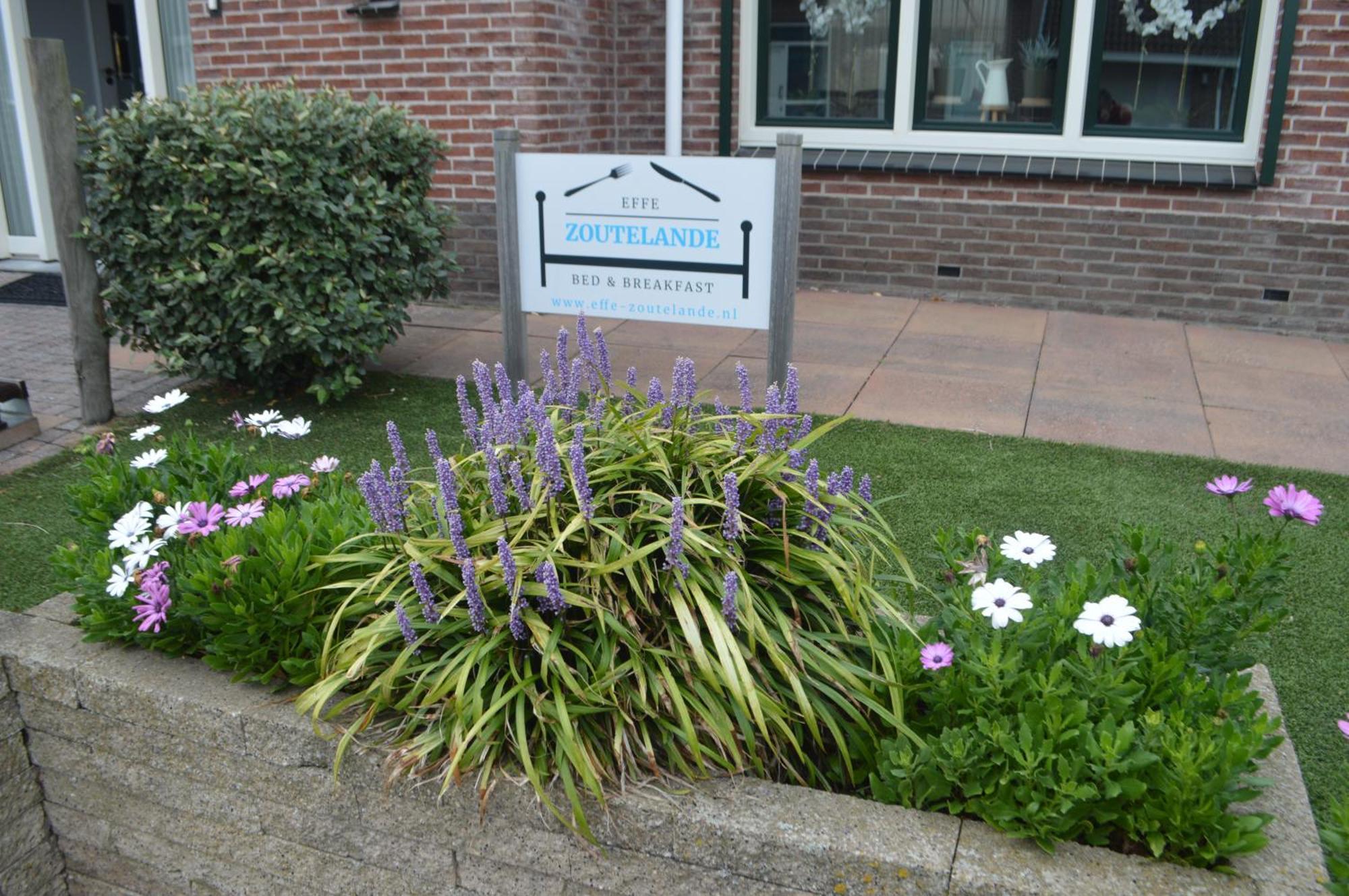 Effe-Zoutelande B&B Exteriér fotografie